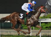 Emerald Hill<br>Photo by Singapore Turf Club